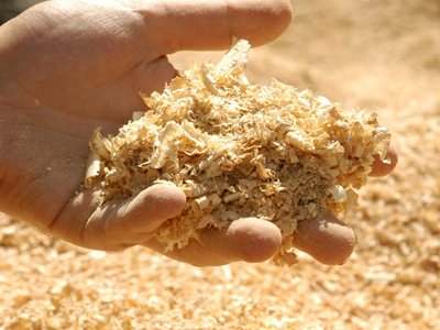 Hand holding natural landscaping sawdust. In the background, there is more sawdust, serving as an eco-friendly ground cover. 